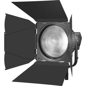 GODOX Viseras LB-02 para lente fresnel FLS-10